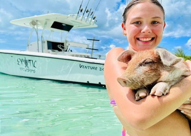 Sand Dollar At Ten Bay Beach Home Savannah Sound 部屋 写真