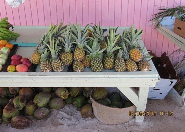 Sand Dollar At Ten Bay Beach Home Savannah Sound 部屋 写真